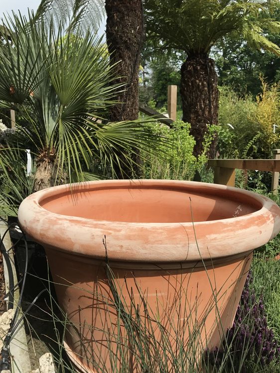 Large Pot